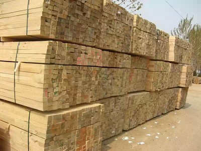 供应建筑木材种类图片_高清图_细节图-天津双腾建材销售 -